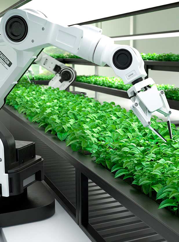 alimentos-IA-possehl-CH inteligencia artificial en los alimentos possehl