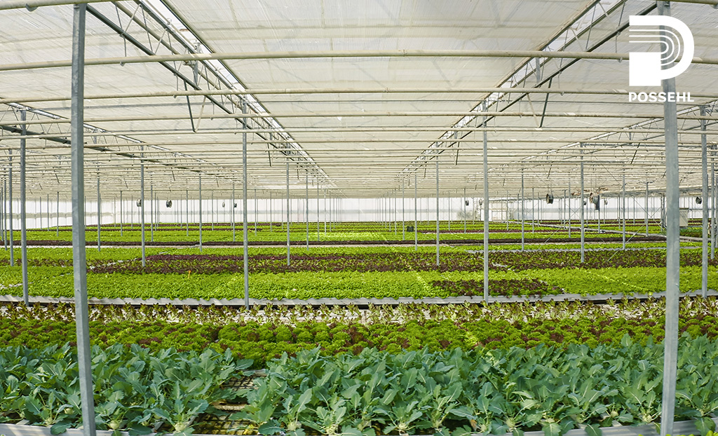 Inversiones en la industria alimentaria en 2022 en Centroamérica Inversiones en la industria alimentaria en 2022 en Centroamérica
