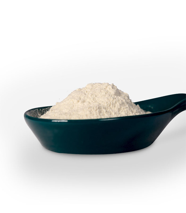 Orígenes y características de la goma guar Orígenes y características de la goma guar