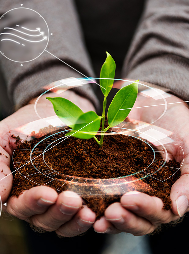 comercio-formal-de-bonos-de-carbon-CH planta con tierra sobre manos